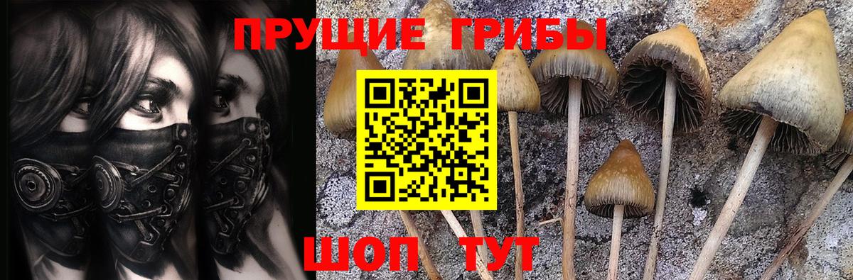 Галлюциногенные грибы GOLDEN TEACHER  Вход с VPN  Татарск 