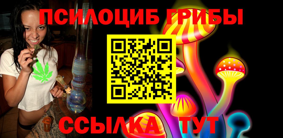 Галлюциногенные грибы Psilocybine cubensis Татарск